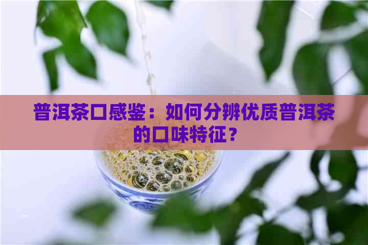 普洱茶口感鉴：如何分辨优质普洱茶的口味特征？