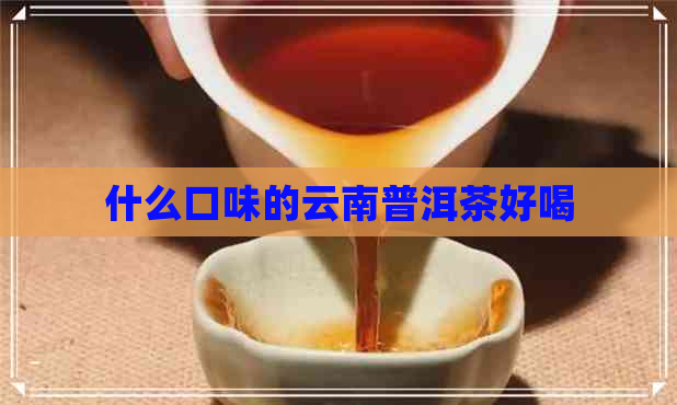 什么口味的云南普洱茶好喝