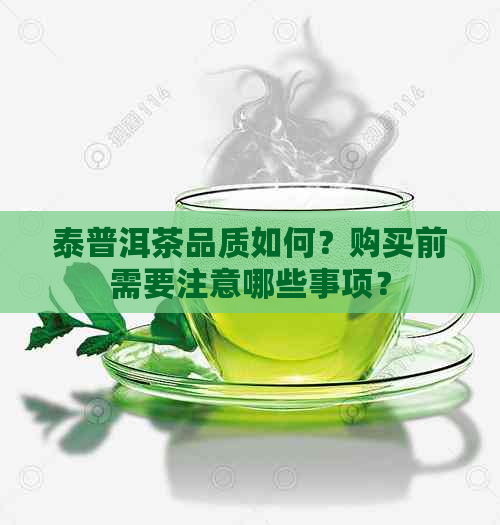 泰普洱茶品质如何？购买前需要注意哪些事项？