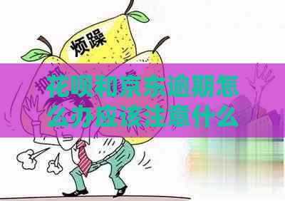 花呗和京东逾期怎么办应该注意什么