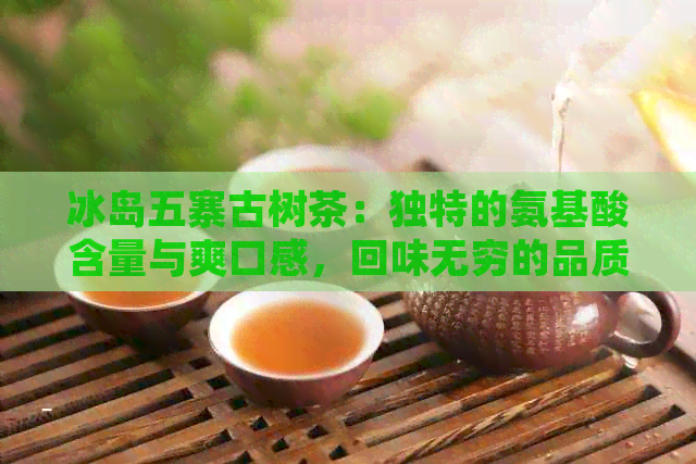 冰岛五寨古树茶：独特的氨基酸含量与爽口感，回味无穷的品质享受