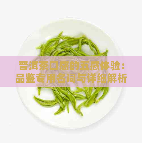 普洱茶口感的五感体验：品鉴专用名词与详细解析