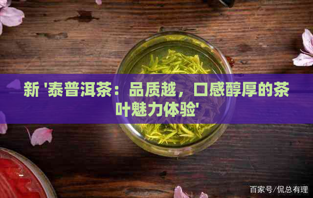 新 '泰普洱茶：品质越，口感醇厚的茶叶魅力体验'