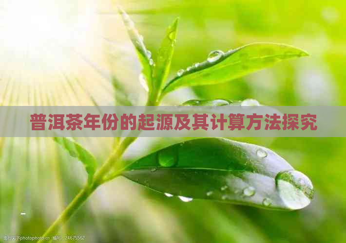 普洱茶年份的起源及其计算方法探究