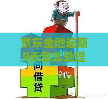 京东金融逾期9天怎么处理