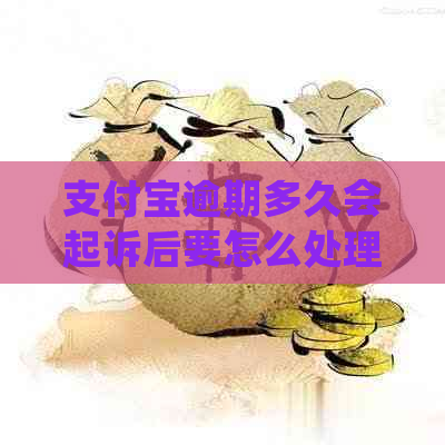 支付宝逾期多久会起诉后要怎么处理