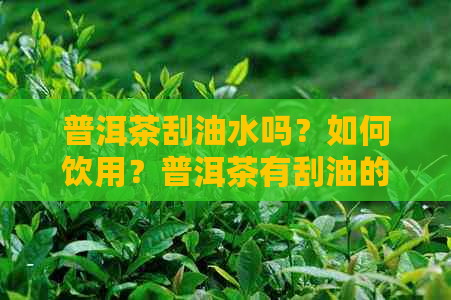 普洱茶刮油水吗？如何饮用？普洱茶有刮油的作用吗？怎么制作？