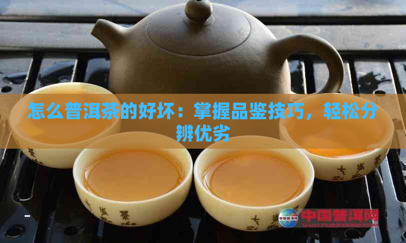 怎么普洱茶的好坏：掌握品鉴技巧，轻松分辨优劣