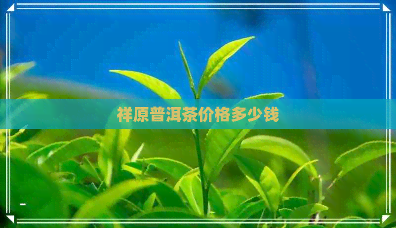 祥原普洱茶价格多少钱