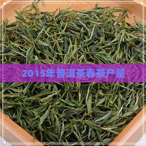 2015年普洱茶春茶产量