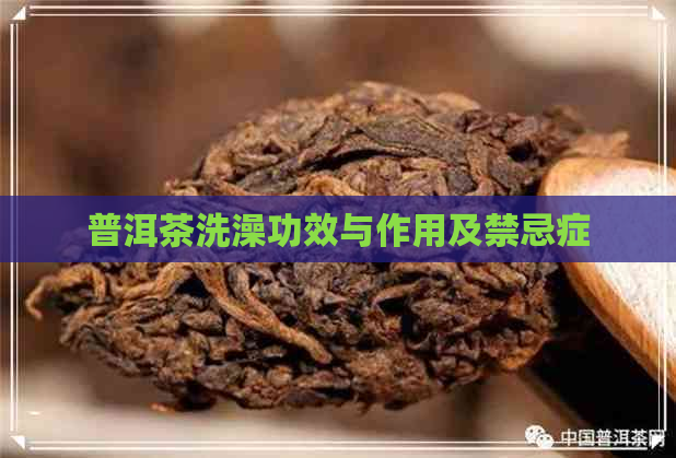 普洱茶洗澡功效与作用及禁忌症