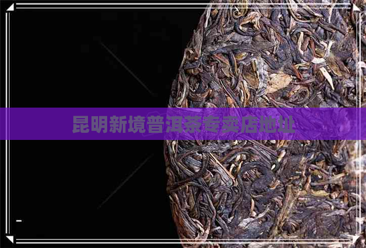 昆明新境普洱茶专卖店地址