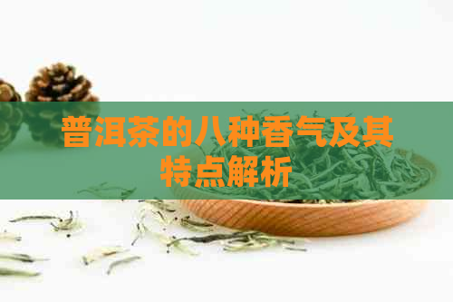 普洱茶的八种香气及其特点解析