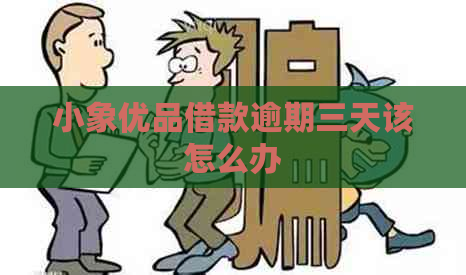 小象有品借款逾期三天该怎么办