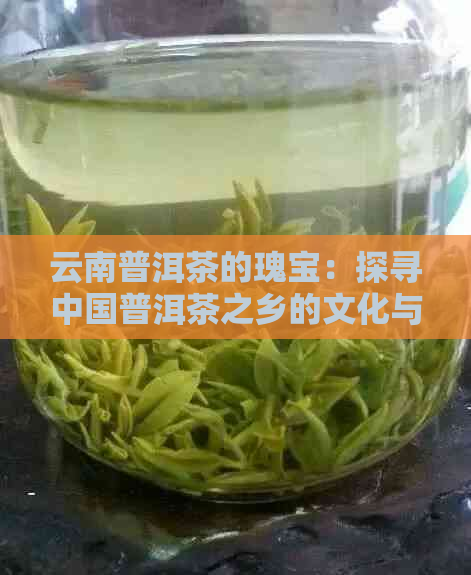 云南普洱茶的瑰宝：探寻中国普洱茶之乡的文化与历