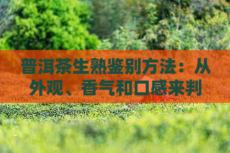 普洱茶生熟鉴别方法：从外观、香气和口感来判断