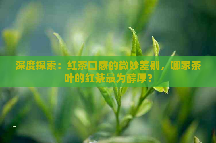 深度探索：红茶口感的微妙差别，哪家茶叶的红茶最为醇厚？