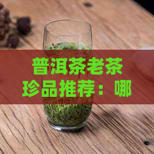 普洱茶老茶珍品推荐：哪些品种更值得收藏