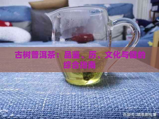 古树普洱茶：品鉴、历、文化与健的综合指南