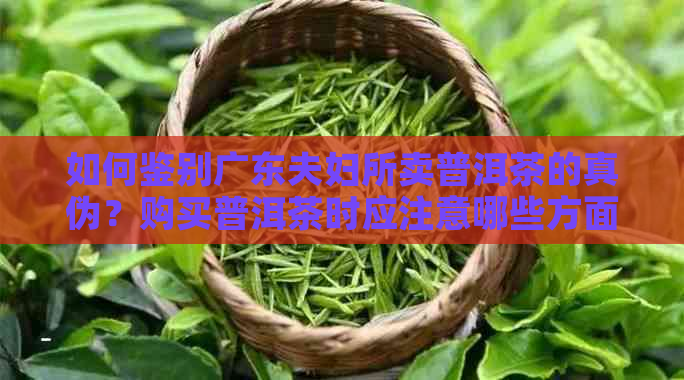 如何鉴别广东夫妇所卖普洱茶的真伪？购买普洱茶时应注意哪些方面？