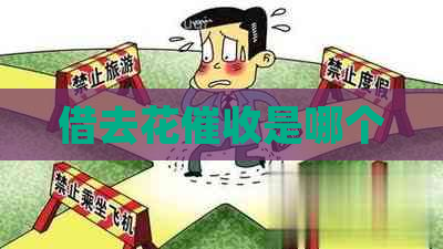 借去花是哪个