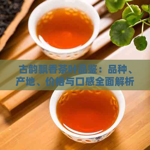 古韵飘香茶叶品鉴：品种、产地、价格与口感全面解析