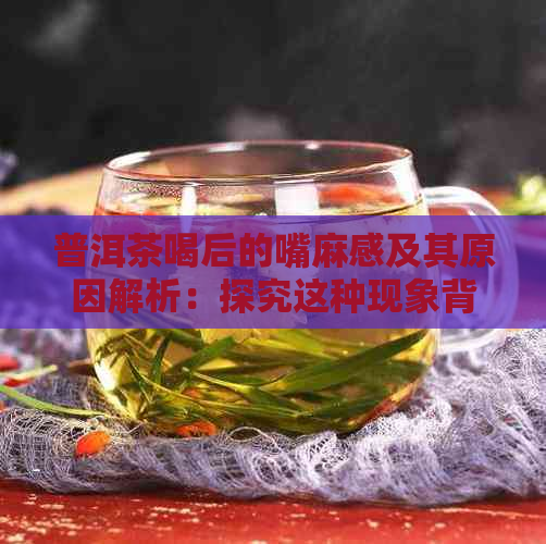 普洱茶喝后的嘴麻感及其原因解析：探究这种现象背后的科学原理及可能的影响