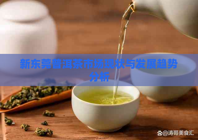 新东莞普洱茶市场现状与发展趋势分析