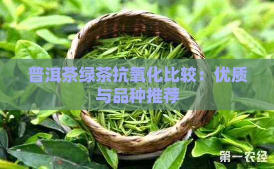 普洱茶绿茶抗氧化比较：优质与品种推荐