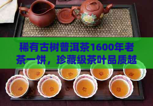 稀有古树普洱茶1600年老茶一饼，珍藏级茶叶品质越