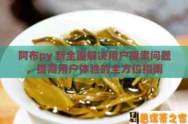 阿布py 新全面解决用户搜索问题，提高用户体验的全方位指南