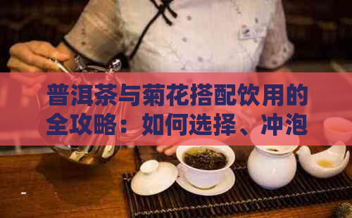 普洱茶与菊花搭配饮用的全攻略：如何选择、冲泡与功效一览无余