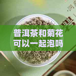 普洱茶和菊花可以一起泡吗？怎么泡？有哪些功效与作用？