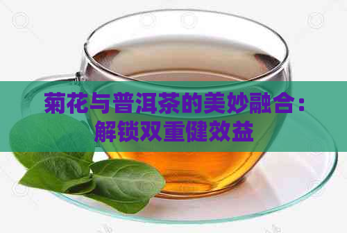 菊花与普洱茶的美妙融合：解锁双重健效益