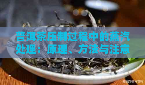 普洱茶压制过程中的蒸汽处理：原理、方法与注意事项