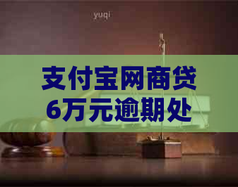 支付宝网商贷6万元逾期处理办法及后果