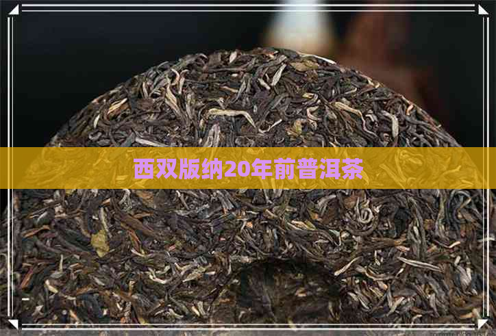 西双版纳20年前普洱茶