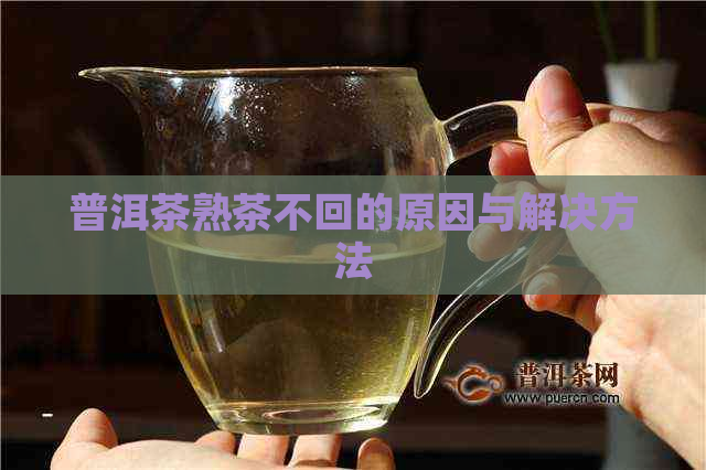 普洱茶熟茶不回的原因与解决方法