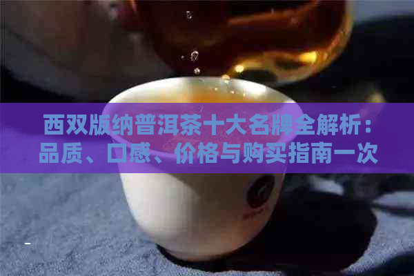 西双版纳普洱茶十大名牌全解析：品质、口感、价格与购买指南一次看清