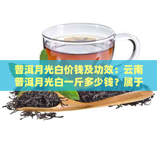 普洱月光白价钱及功效：云南普洱月光白一斤多少钱？属于什么茶？能存多久？