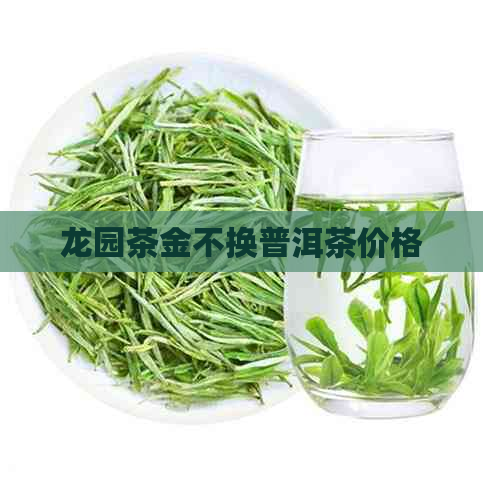 龙园茶金不换普洱茶价格