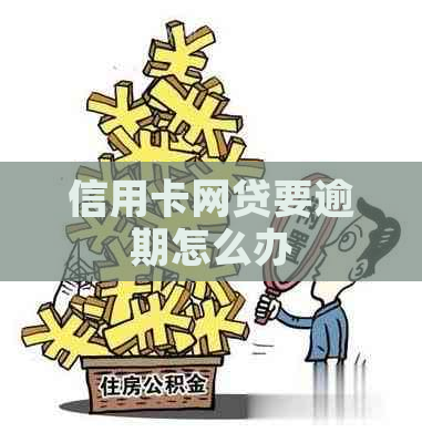 信用卡网贷要逾期怎么办