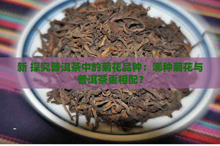 新 探究普洱茶中的菊花品种：哪种菊花与普洱茶更相配？