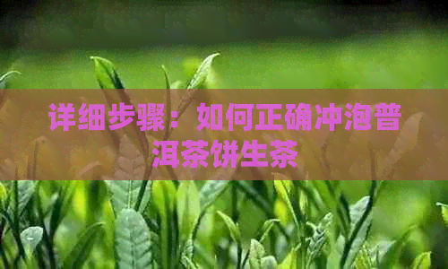 详细步骤：如何正确冲泡普洱茶饼生茶