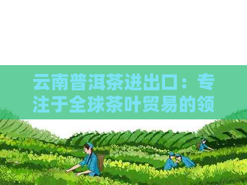 云南普洱茶进出口：专注于全球茶叶贸易的领先企业