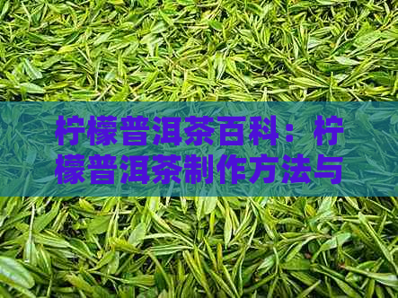 柠檬普洱茶百科：柠檬普洱茶制作方法与功效作用