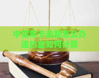 中信用卡逾期怎么办违约金如何计算