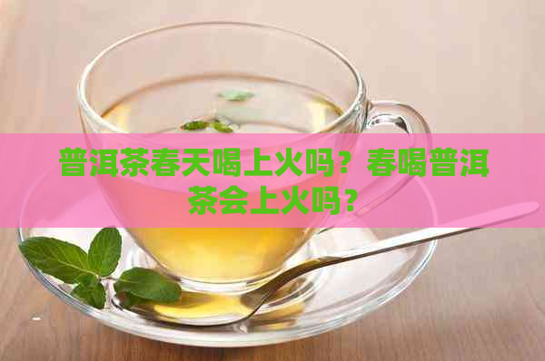 普洱茶春天喝上火吗？春喝普洱茶会上火吗？