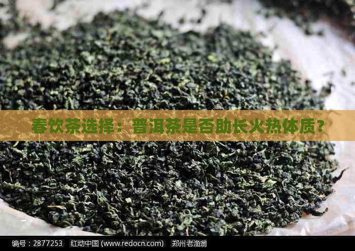 春饮茶选择：普洱茶是否助长火热体质？