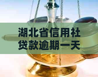 湖北省信用社贷款逾期一天如何处理